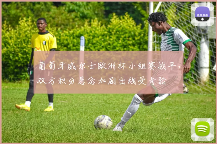 葡萄牙威尔士欧洲杯小组赛战平，双方积分悬念加剧出线受考验