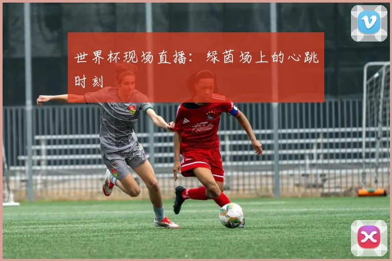 世界杯现场直播:绿茵场上的心跳时刻