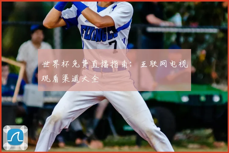 世界杯免费直播指南:互联网电视观看渠道大全