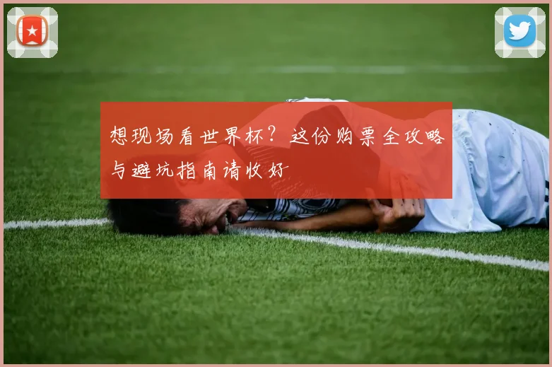 想现场看世界杯?这份购票全攻略与避坑指南请收好