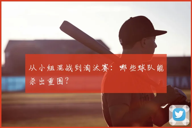 从小组混战到淘汰赛：哪些球队能杀出重围？